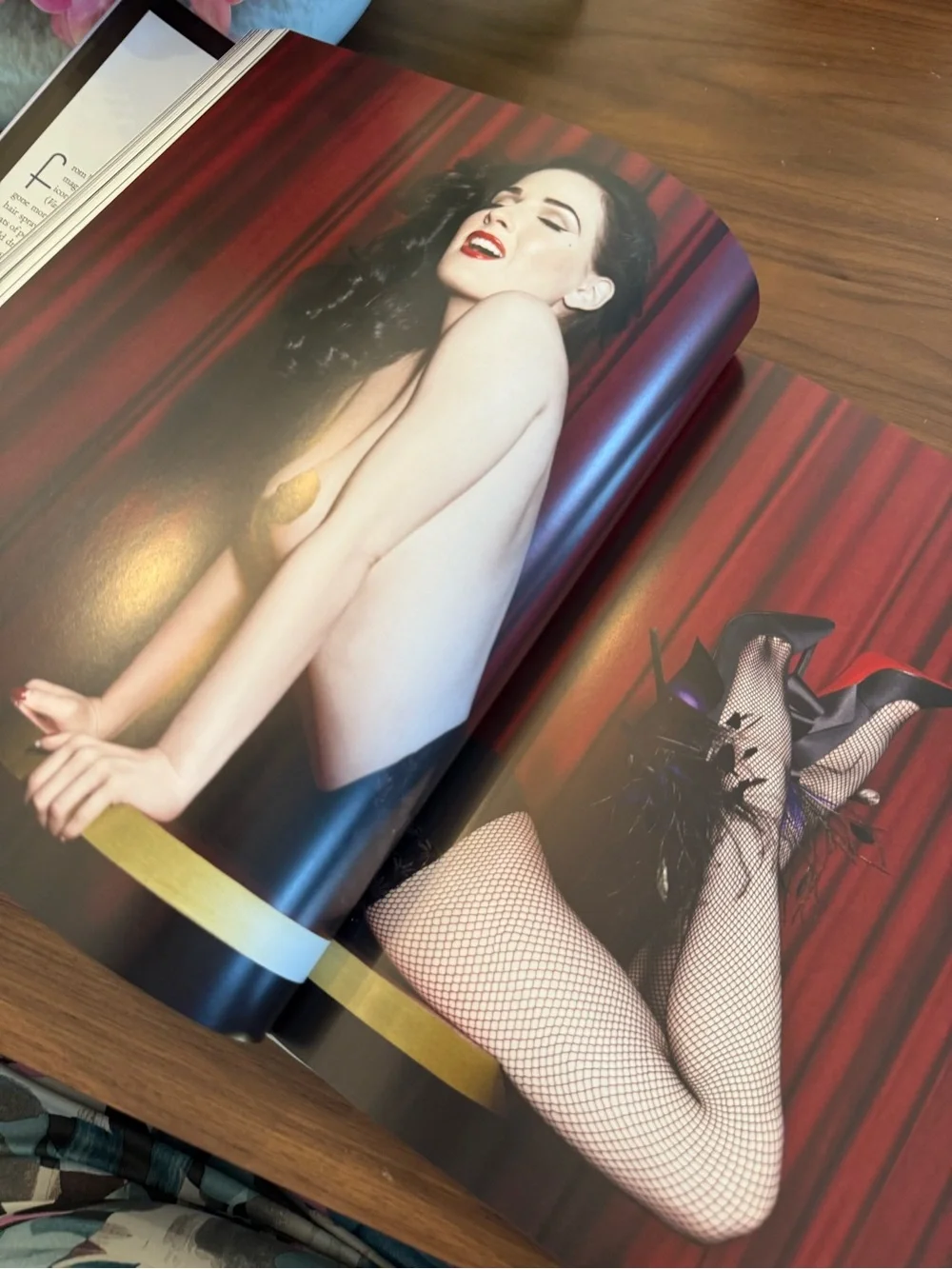 🫦DITA VON TEESE Your Beauty Mark Coffee Table How To Book